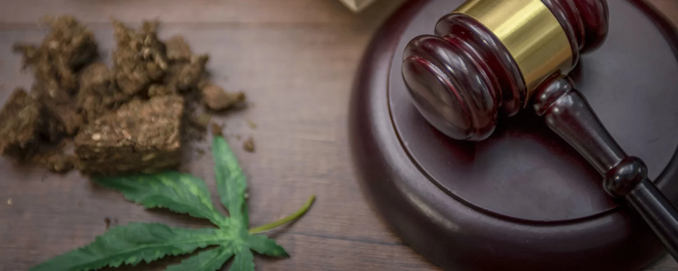 A judge's gavel lays next to a marijuana plant leaf, depicting the legalization of marijuana.